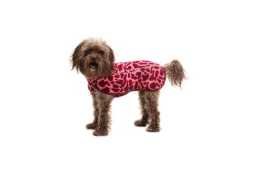 Ruffwear Climate Changer Fleece Vest Berry Lava Gr. M